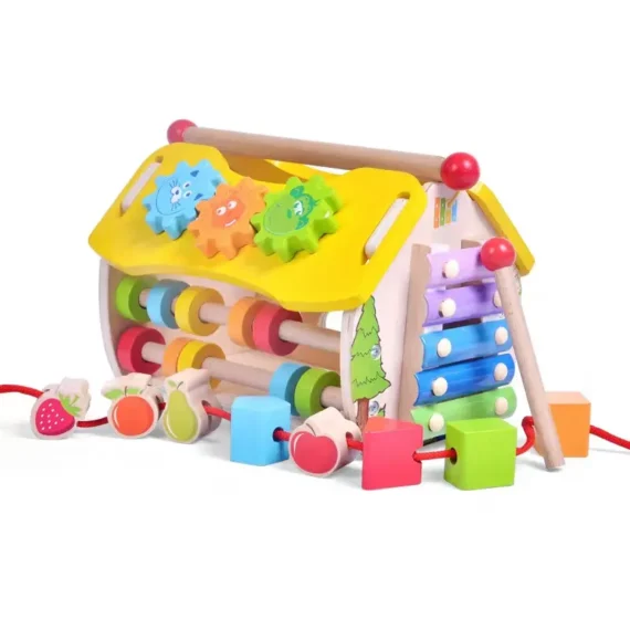 ShapeMinds Montessori Sorting Toy